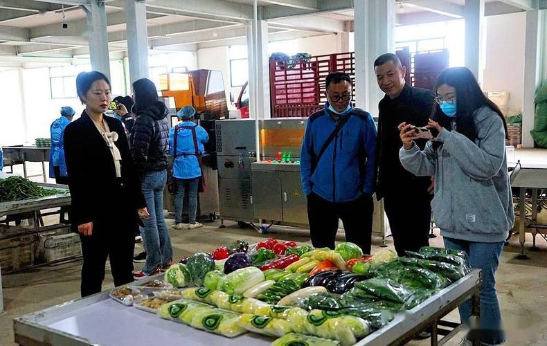 玉溪通海县 高原特色蔬菜创绿色食品牌，畅通食品流通新渠道